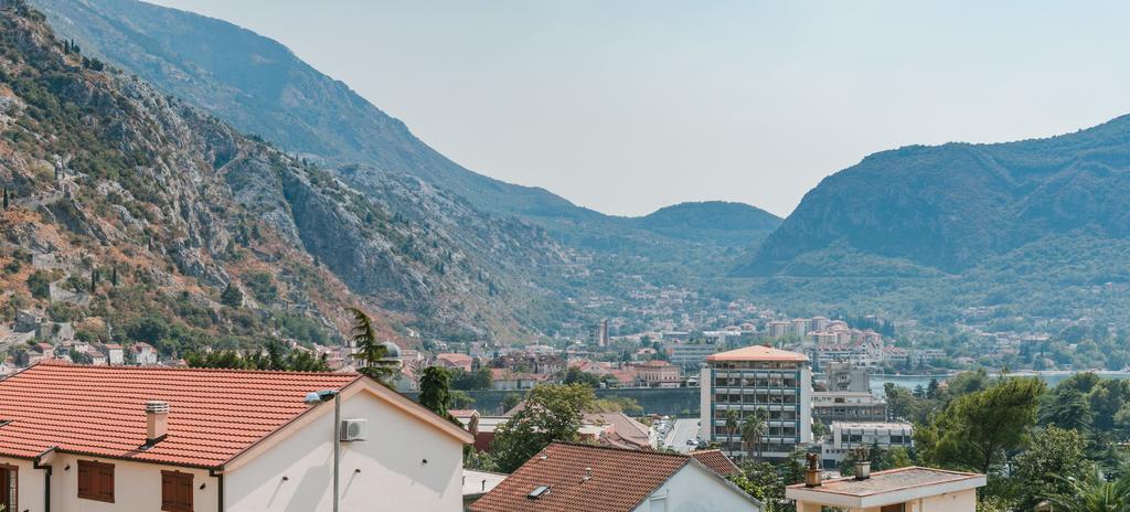 Apartments Los Olivos コトル 部屋 写真